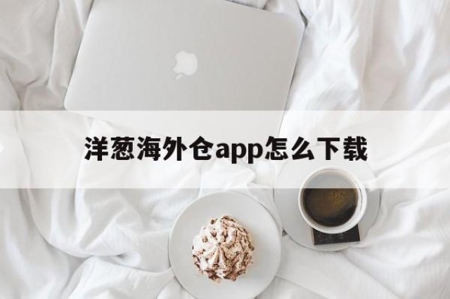 洋葱海外仓app怎么下载