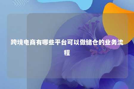 跨境电商有哪些平台可以做储仓的业务流程